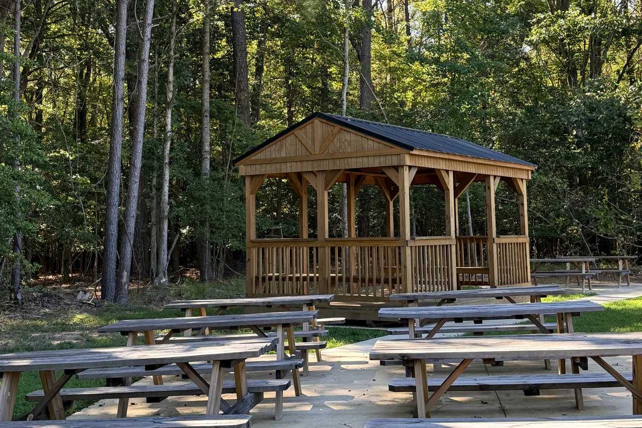 The Pine Garden: rows of wooden picnic tables on a patio in front of a timber gazebo, under tall pines